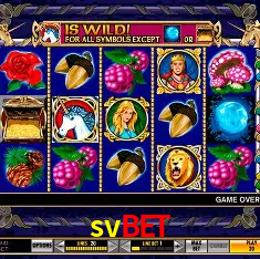 svbet Rio de Janeiro - Professional Dealers